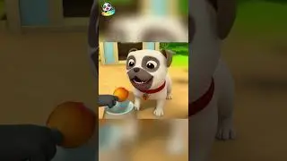 一隻哈巴狗🐶 想吃肉骨頭🦴 | BabyBus 寶寶巴士 #shorts #babybus #kidssong