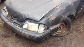 shit mustang owners say