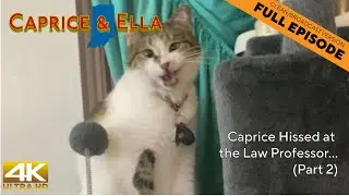 Caprice Hisses at the Law Professor... (Part 2) | Caprice & Ella 808 (clean)
