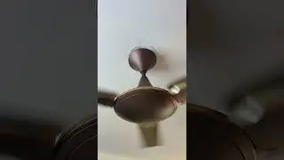 Ceiling Fan ka jalwa 🤔  #shorts #fan #shortsvideo #fansound #viralvideo