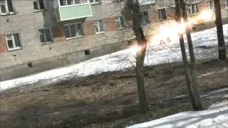 чёрная кошка хит пророка сан боя