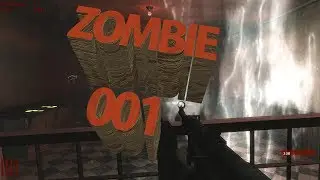 COD WAW : Custom Zombies 
