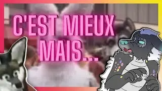 LES REPORTAGES FURRY EN FRANCE 2