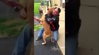 Cachorro reencontra dono após dois anos #shorts