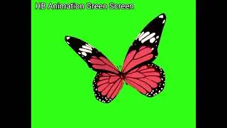 Butterfly 🦋 Animation (Green Screen) | beautiful butterfly