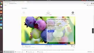 Utilizando conteúdos interativos com H5P no AVA Moodle - Aula 01
