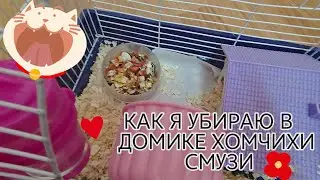 Уборка в домике у хомчихи Смузи//Что она натворила?!//#хочуврек #tiktok