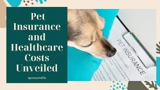 Guardians of Health: Pet Insurance and Healthcare Costs Unveiled! 🏥🐾 | Path to Paw-some Wellness
