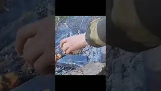Гигиена - враг туриста!