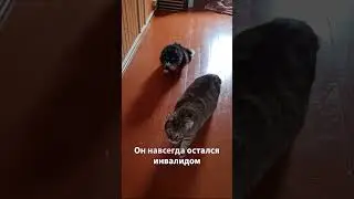 Котя оплачен до 21 мая