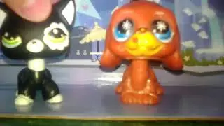 Lps клип имя 505