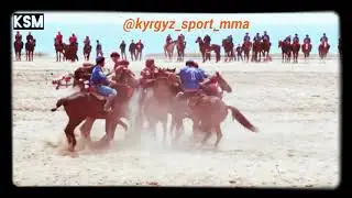 Достук чемпион