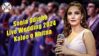 Sonia Odisho Live Wedding 2024 (Kaloo o Khitna)