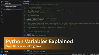 Python Variables Explained: Store Data in Your Programs (Beginner Friendly!)