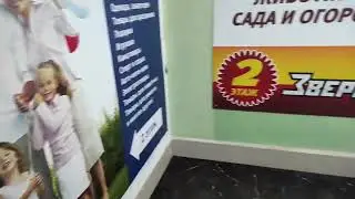Прогулка по заснеженным Сухиничам.
