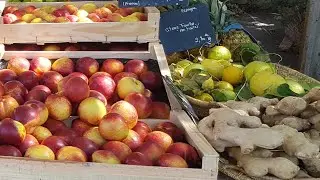 Где ВЫГОДНО покупать ЕДУ во Франции? Французский рынок с ценами. Что едят французы. Elena France