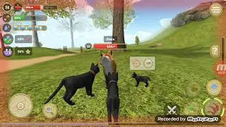 Симулятор кота и кошки 2 #