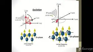 MRI Physics  Part 11 T1 ,T2 and PD اساسيات فيزياء  الرنين المغناظيسي بالعربي