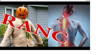 № 1101 Устранение причин болей в позвоночнике и суставах Методом RANC.
