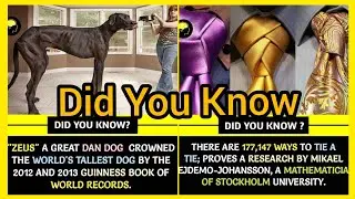 Fact  status |Amazing Facts That You Should Know | Did You Know Facts ?| GetsetFlyFact #fact