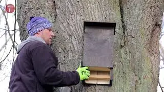 Nové ptačí budky a budky pro netopýry