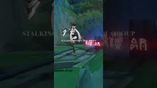 How I spend my time In Sumeru | Genshin Impact