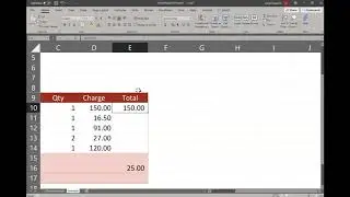 Excel Module 1 Project 1 Waterville Veterinary Hospital