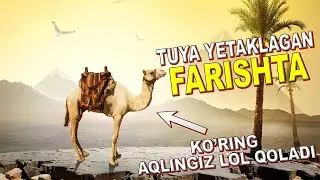 Allohni qarz qilgan sahoba va tuya yetaklagan farishtalar