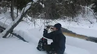 Song about wolves ;) Песня о волках ;)