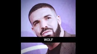 WOLF | Drake x J Cole Type Beat