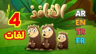 القنافذ باللغات الأربع ( العربية - الإنجليزية - التركية - الفرنسية ) طيور بيبي Toyor Baby