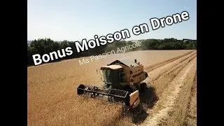 Bonus Moisson du triticale en drone  (2019)