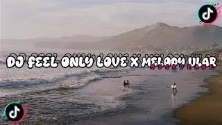 DJ FEEL ONLY LOVE X MELODY ULAR X MUSKURANE || VIRAL TIK TOK!!!