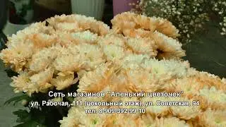Новоаннинские вести  реклама цветы 2023 8 марта