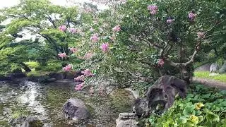 East Gardens of the Imperial Palace Tokyo, August 2018, part 3