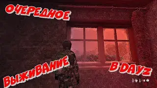 DaYz