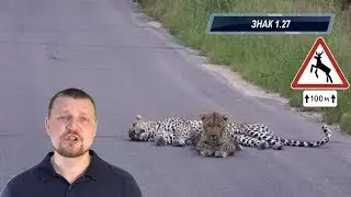 ПДД 2020 Дорожные знаки - Предупреждающие