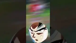 ULTRA INSTINCT QIYANA001