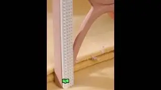 Щітка для очищення вовни 1