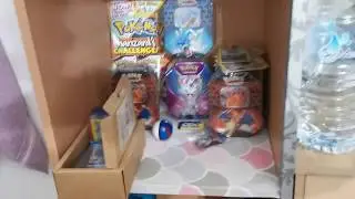Wrapping up 2019 Pokemon inventory! (MYR 2500+ worth)
