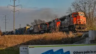 CN 8001 leads CN M337 through Glendale Heights, IL on 11/15/2024