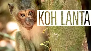 Most surprising destination in Thailand | Koh Lanta