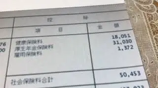 給与明細 東証一部上場企業の営業職のリアルな賞与