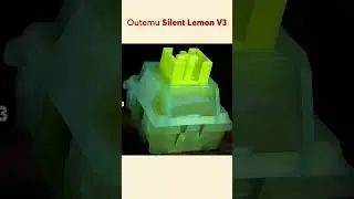 21 Silent Switch Sound Tests on One Keyboard (2025 Compilation)!