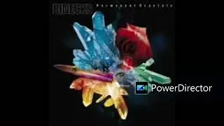 BINECKS      Permanent Crystals    2008年5月にメジャーデビューしたBINECKSのファースト・アルバム。全曲DAITA節炸裂!!