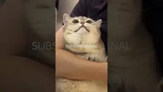 ❤️❤️) 