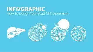 INFOGRAPHIC - How To Design Your Bead Mill Experiment