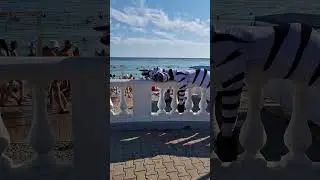Архипо-Осиповка 2024 Кони спят на набережной 🐎🦄🦓