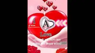 26 November 2023
