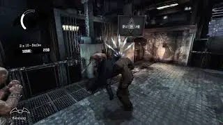 Batman Arkham Asylum Challenge